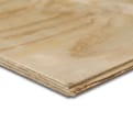 Elliotti construct T&G 18mm FSC product photo