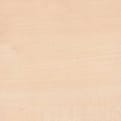 ABS Kantenband licht Ahorn/Esdoorn product photo