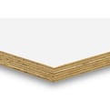 Okoume multiplex wit 250x122cm FSC product photo