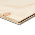 Radiconstruct T&G WBP 244x122cm 18mm FSC product photo