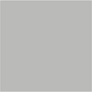 FINSA HPL 206 Soft III