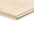 Radiplex T&G B/C WBP 244x122cm FSC product photo