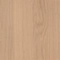 Shinnoki ABS kantenband Milk Oak product photo