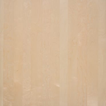 Nørdus fineerband Snow Birch | Baars & Bloemhoff Nørdus fineerband Snow Birch