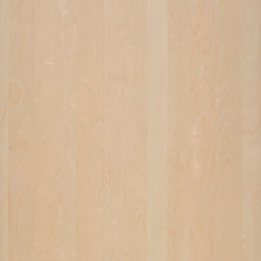 MDF Gefineerd Snow Birch 2-Zijdig Plain | Baars & Bloemhoff MDF Gefineerd Snow Birch 2-Zijdig Plain