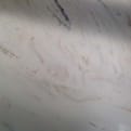 SolidTrends® BB-009 product photo