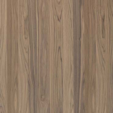 Shinnoki fineerband Frozen Walnut | Baars & Bloemhoff Shinnoki fineerband Frozen Walnut