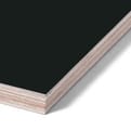 Berken multiplex 2-z HPL Zwart U12000SD product photo